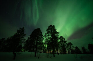 Aurora borealis glowing above winter trees and fresh snow in Senja, Norway, part of our Life Happens Outdoors Chase the Northern Lights adventure.