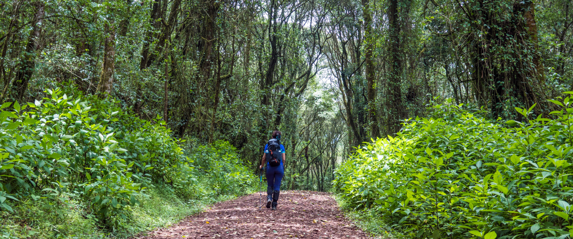 Kilimanjaro: An Unforgettable Adventure