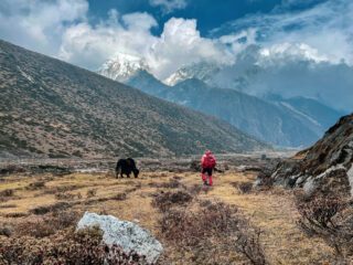 A trekker walking through the Gokyo Valley near Machhermo, beneath cloud-covered Himalayan peaks.