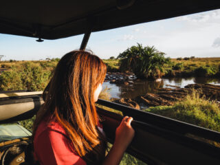 Serengeti Safari