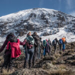 climbers on kilimanjaro tours trek to the summit of mount kilimanjaro