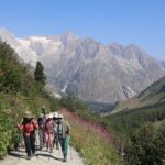 Tour du Mont Blanc trekkers walking along a sunlit alpine trail, with green slopes and snow-covered mountains beneath a clear blue sky.