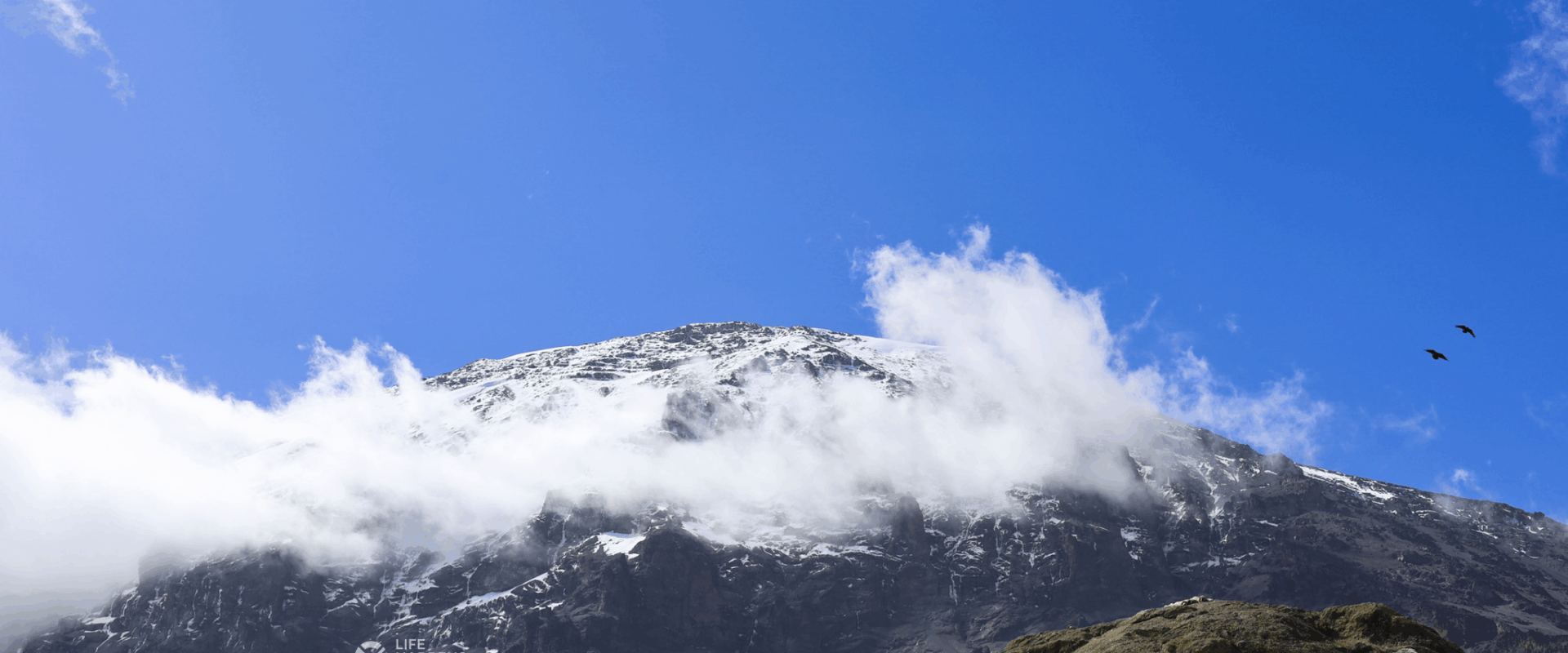 Best Time to Climb Kilimanjaro, Weather by Month, and What it Feels Like