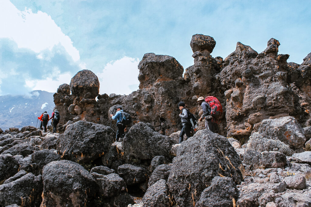 Trekking toward Lava Tower on Kilimanjaro with dramatic lava rock formations along the trail.