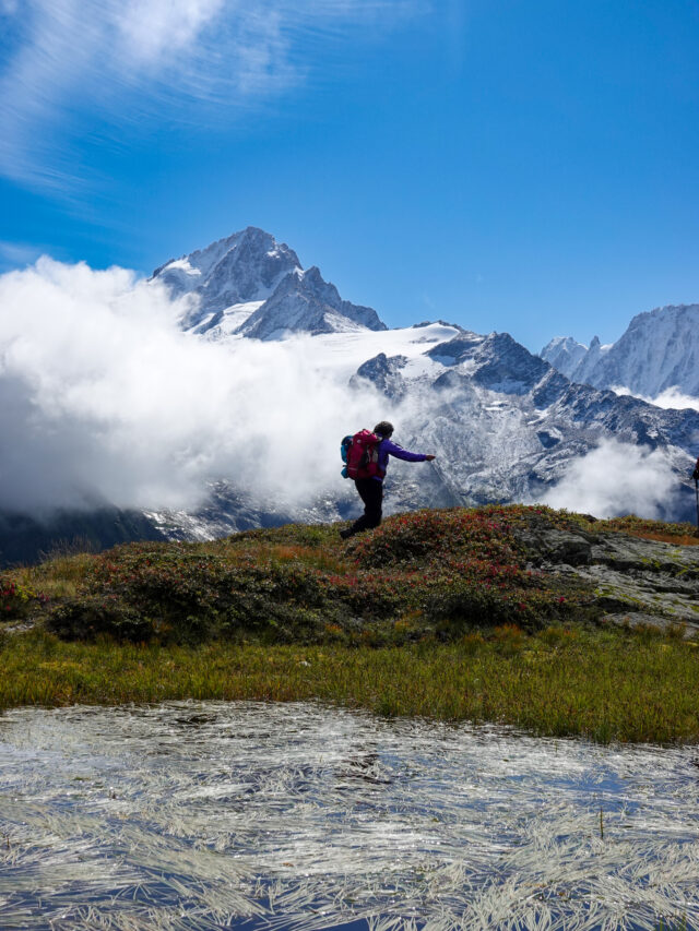 Hiker in alpine meadow with views of snowy peaks during a guided hiking holiday in the Alps