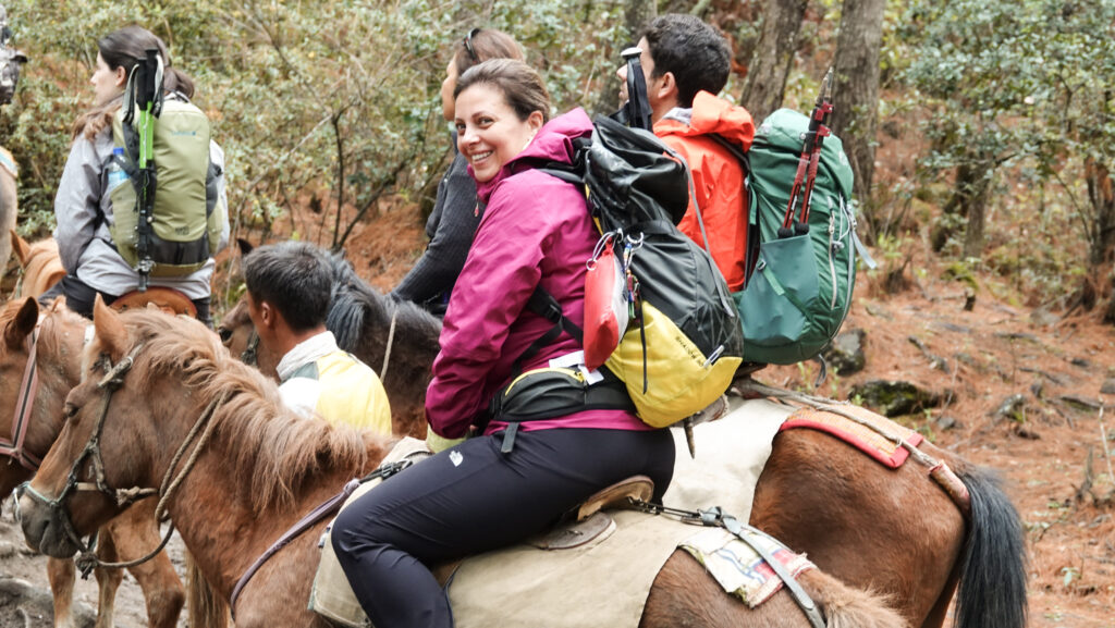 Group horseback trekking through forest on a guided adventure travel experience