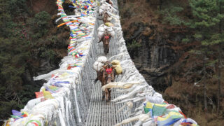 Pack mules crossing a prayer flag lined suspension bridge on a Nepal trekking route with Life Happens Outdoors