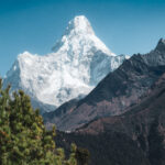 Ama Dablam above pine forest on a clear November trekking day in Nepal's Everest region