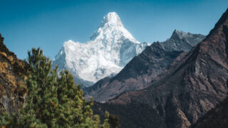 Ama Dablam above pine forest on a clear November trekking day in Nepal's Everest region